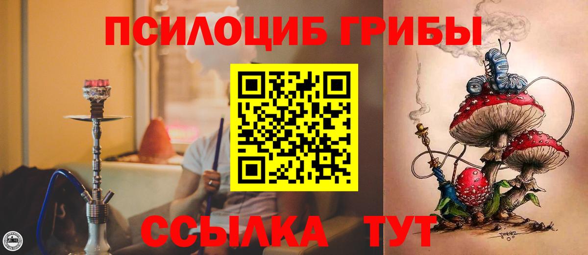 Псилоцибиновые грибы Cubensis Черногорск